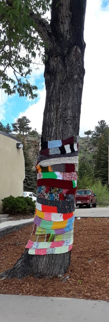 Wool wrapped trees in Estes Park Colorado