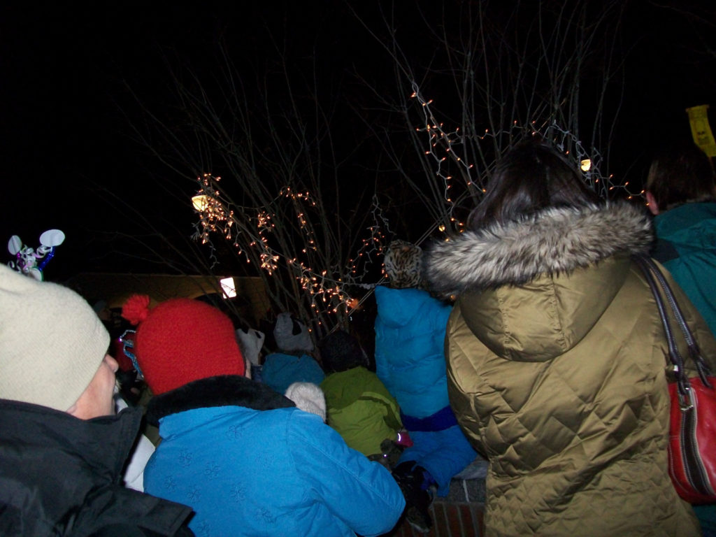 New Years Eve Revelers watching Sardine being lowered in Eastport