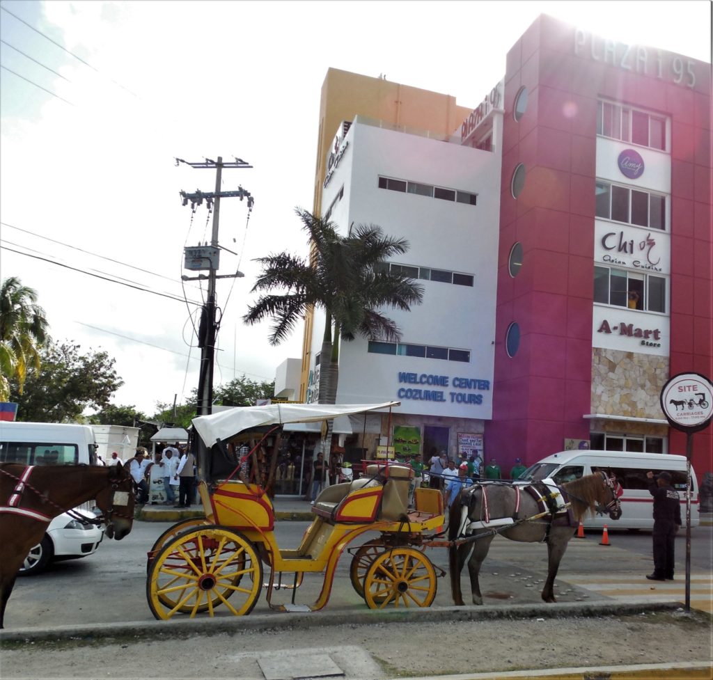 Horse and carriage ride in Puerta Maya Cozumel