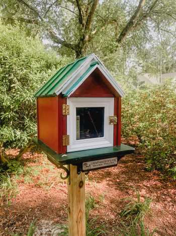 Little Free Library on 50plusses.com