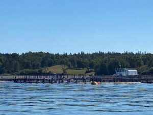 Cultivated salmon weirs or pens off of Campobello