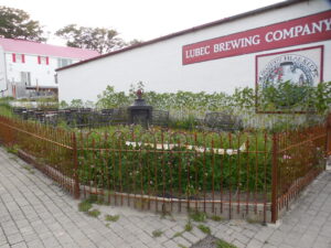 Lubec Brewing Company Beer Garden