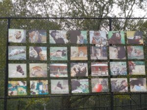 Collage of animal photos at Noah's Ark Animal Sanctuary