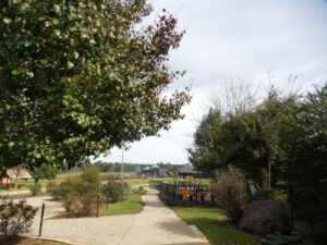 Playground and picnic areas at Noah's Ark Animal Sanctuary