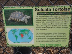 Sign about the Sulcata Tortoise at Noah's Ark