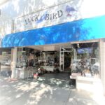 Lucky Bird Thrift Shop, Downtown Greenfield, Mass.