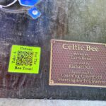 About the Celtic Bee, Greenfield, Mass.