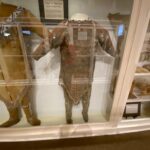 Native clothing artifacts, Sheldon Jackson State Museum, Sitka, Alaska